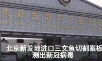 砧板刀具竟然是隱藏“殺手”？是時候擁有一個“它”了