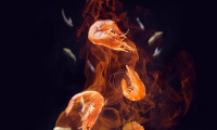 暢爽沐浴、自在由我，法迪歐爆款電熱水器雙十一好價(jià)提前享