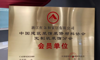 喜訊!紅寶石墻布榮獲2020年度最具影響力品牌