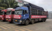 聯(lián)塑集團(tuán)踐行企業(yè)社會(huì)責(zé)任，展現(xiàn)大國(guó)品牌擔(dān)當(dāng)