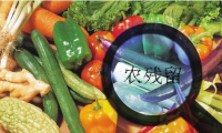 家庭食品安全我們該怎么辦？食材凈化機有效嗎？