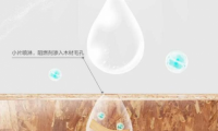 千年舟阻燃板全新?lián)Q代升級(jí)，守護(hù)生命的阻燃衛(wèi)士