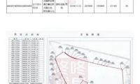 深圳800畝未收儲土地掛牌樂高集團 11名全國省人大代表提出監(jiān)督