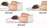 萬眾矚目！DOLOMIA深睡秘密大公開！