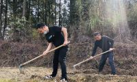 周寧煙草：打響春耕生產(chǎn)“第一仗”，讓拋荒撂荒耕地“重獲新生”