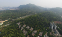 喜報(bào)丨深耕南沙，再添新秀