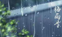 要想梅雨季實現(xiàn)干爽自由，艾芬達電熱毛巾架不可少