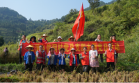 發(fā)揮基層組織戰(zhàn)斗堡壘作用，構(gòu)建生產(chǎn)服務(wù)主力軍