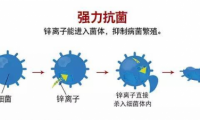 打造綠色健康的家居環(huán)境，首選澳思柏恩鋅效抗菌板