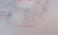 美巢易呱平膩?zhàn)臃?，耐水防潮更高環(huán)保，拒絕墻面潮濕發(fā)霉