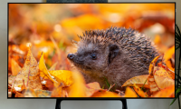 TCL C11G Pro換代首選？Mini LED真香神機，你值得擁有