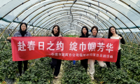 遇見“莓”好 中建安裝南方公司開展“三八”婦女節(jié)活動(dòng)