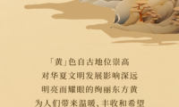 美涂士藝術(shù)漆：如果色彩有溫度，最暖之黃為你守候
