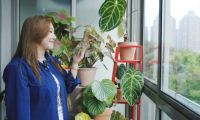 范湉湉的“花花世界”，藝術(shù)巖板「繁花」與冠珠韶華「南山蘆花」搭配亮了
