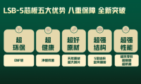 破解行業(yè)百年悖論：從環(huán)保7號(hào)丨LSB-5芯板看中國(guó)家居的底層突圍戰(zhàn)