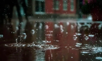 千年舟石墨烯黑金板無懼梅雨季節(jié)，讓家依然純凈清新