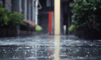 舟乘智木·不染潮時(shí)丨誰(shuí)說(shuō)躲不開(kāi)梅雨煩惱，有他們，無(wú)懼潮濕！
