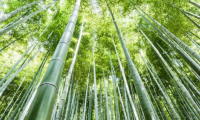 超高防潮丨性能與美學(xué)兼具，這張好板更懂健康生活