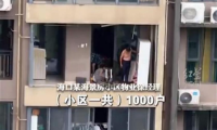 臺風(fēng)季門窗安全警鐘再鳴：墜窗悲劇如何避免？