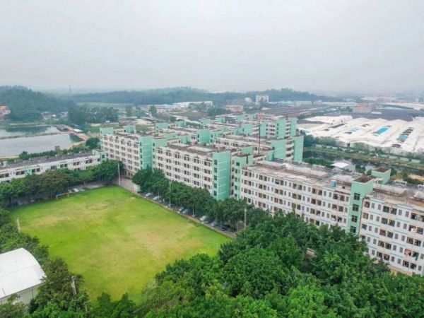 04.jpg