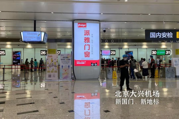 門窗十大品牌派雅門窗：奮斗的2020，一起翱翔！