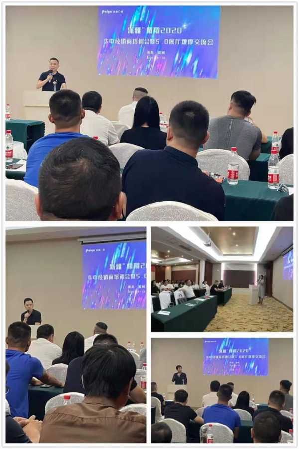 門窗十大品牌派雅門窗：奮斗的2020，一起翱翔！