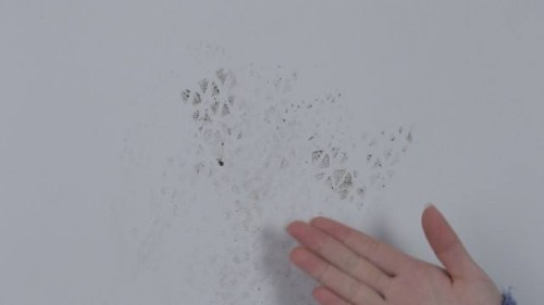 墻面污漬克星——德國(guó)赫威都肯防污涂料
