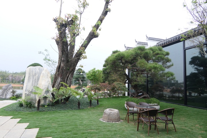 送服務！清遠高新稅務助力重點鄉(xiāng)村振興樣板區(qū)建設(shè)