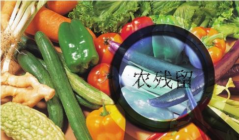 家庭食品安全我們?cè)撛趺崔k？食材凈化機(jī)有效嗎？