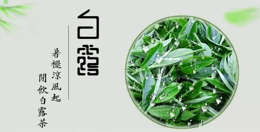 金秋好物大賞：白露為霜的季節(jié)，怎么能少得了碧然德濾水壺