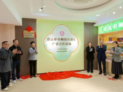 巾幗發(fā)力！清遠(yuǎn)市“鄉(xiāng)村振興巾幗行動”號角再起！