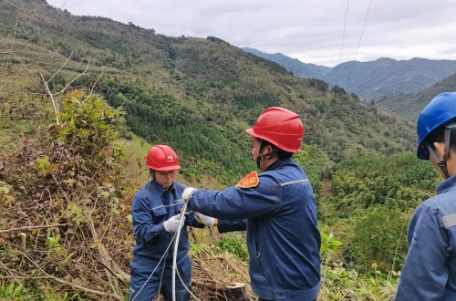 田林供電公司：戰(zhàn)疫情 我們?cè)谛袆?dòng)