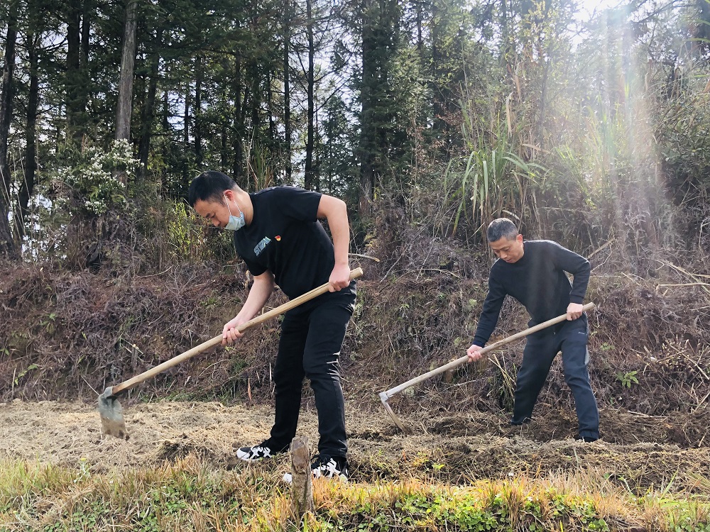 周寧煙草：打響春耕生產(chǎn)“第一仗”，讓拋荒撂荒耕地“重獲新生”