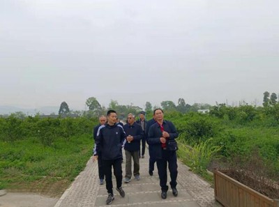 落實(shí)兩會(huì)精神 助力鄉(xiāng)村振興——龍泉驛區(qū)老科協(xié)到科技助農(nóng)示范點(diǎn)調(diào)研