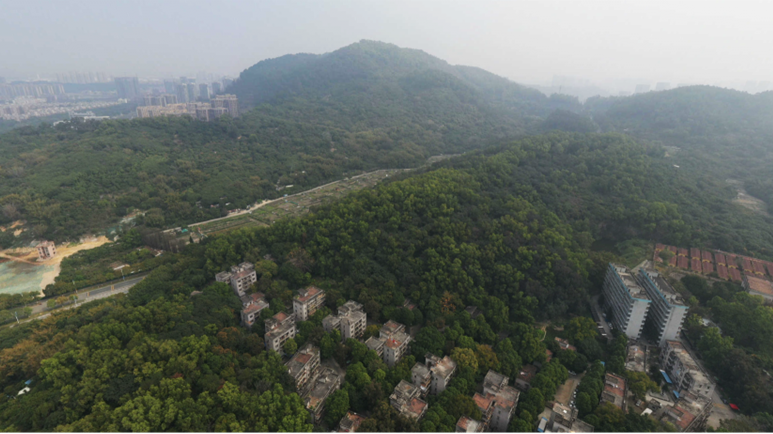 喜報(bào)丨深耕南沙，再添新秀