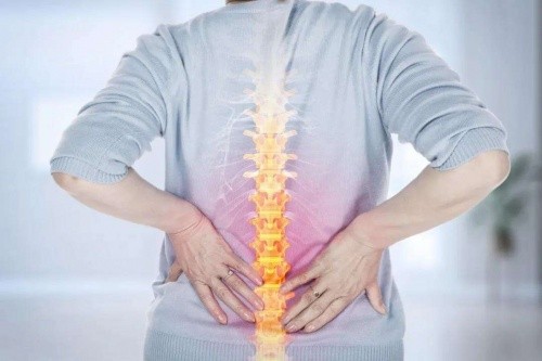 腰痛人的春天，東寶床墊呵護(hù)脊椎健康