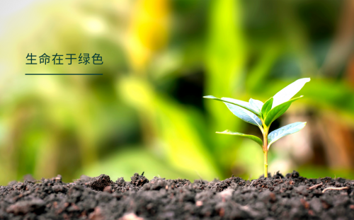 發(fā)力雙碳，韓氏健康板材成為碳足跡國(guó)家創(chuàng)新聯(lián)盟發(fā)起單位