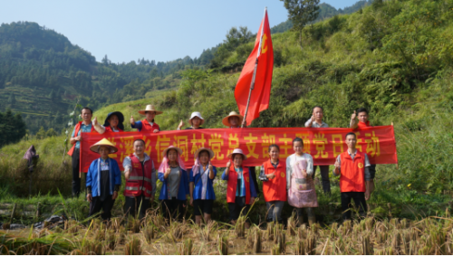 發(fā)揮基層組織戰(zhàn)斗堡壘作用，構(gòu)建生產(chǎn)服務(wù)主力軍