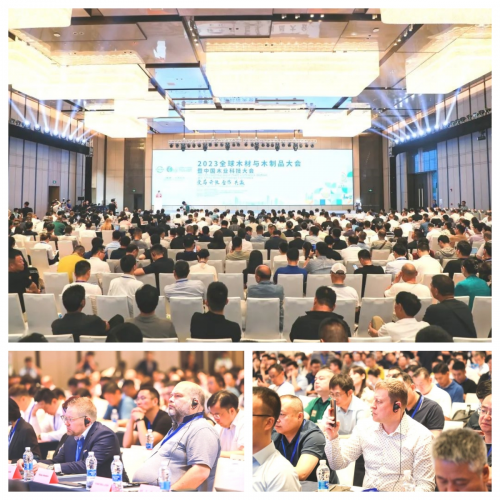 2023全球木材與木制品大會(huì)|千年舟榮獲科技雙殊榮，引領(lǐng)行業(yè)綠色低碳轉(zhuǎn)型