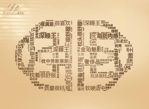 高階深睡枕的代表DOLOMIA，貫穿精密技藝與手工創(chuàng)意，成為高收入群體心儀之選