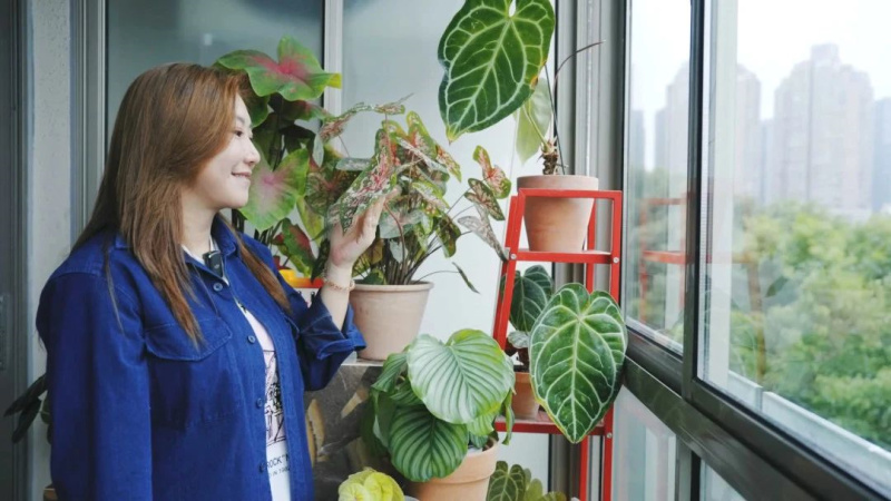 范湉湉的“花花世界”，藝術(shù)巖板「繁花」與冠珠韶華「南山蘆花」搭配亮了