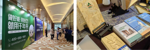 喜報(bào)！千年舟榮獲金匠榜「抗菌板十大品牌、匠心板材十大品牌」雙料大獎(jiǎng)