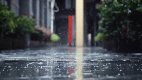 舟乘智木·不染潮時(shí)丨誰說躲不開梅雨煩惱，有他們，無懼潮濕！