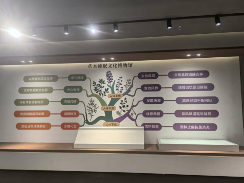 傳承御醫(yī)文化與現(xiàn)代科技融合，“億吻一款有助于睡眠的生物草本床墊”震撼上市